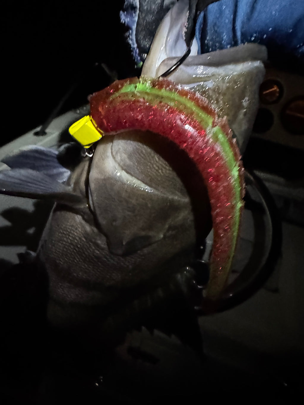 Fish Rx Slug -  Christmas Present