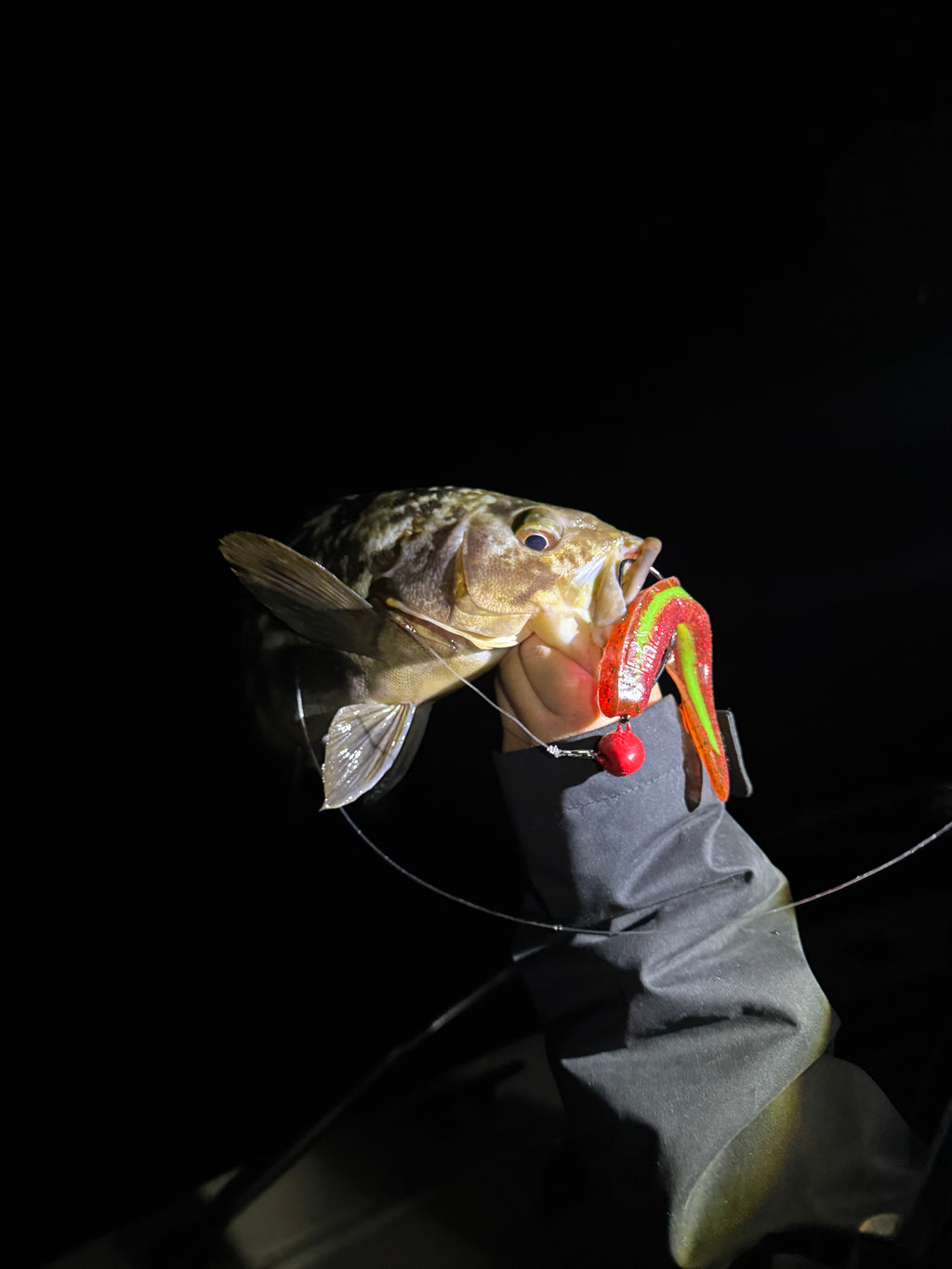 Fish Rx Slug -  Christmas Present