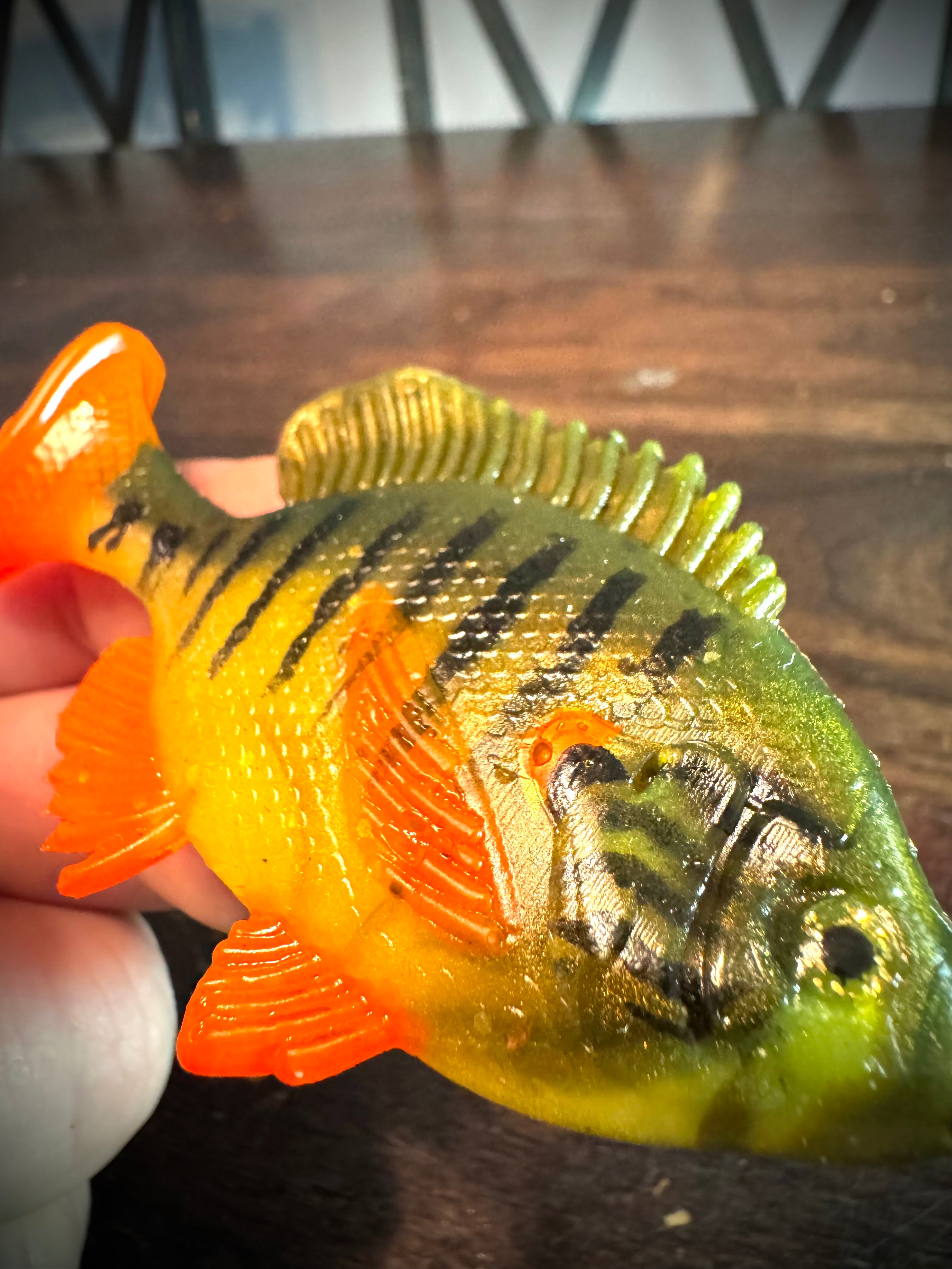 2 pack GILL - poison dart frog