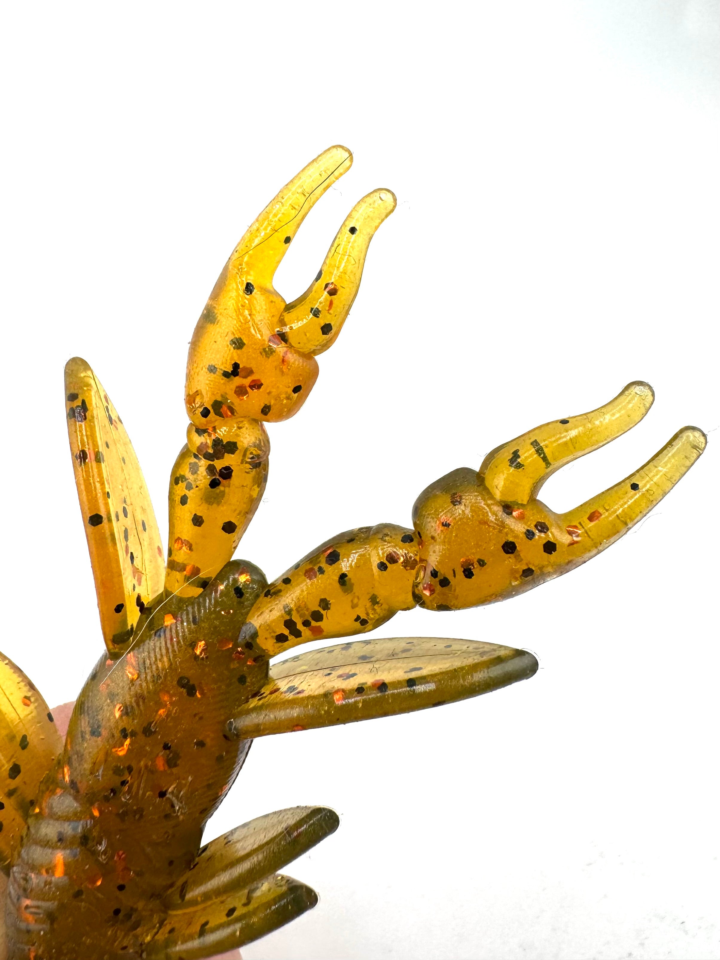 Whammer Slammer - rough fish colorway