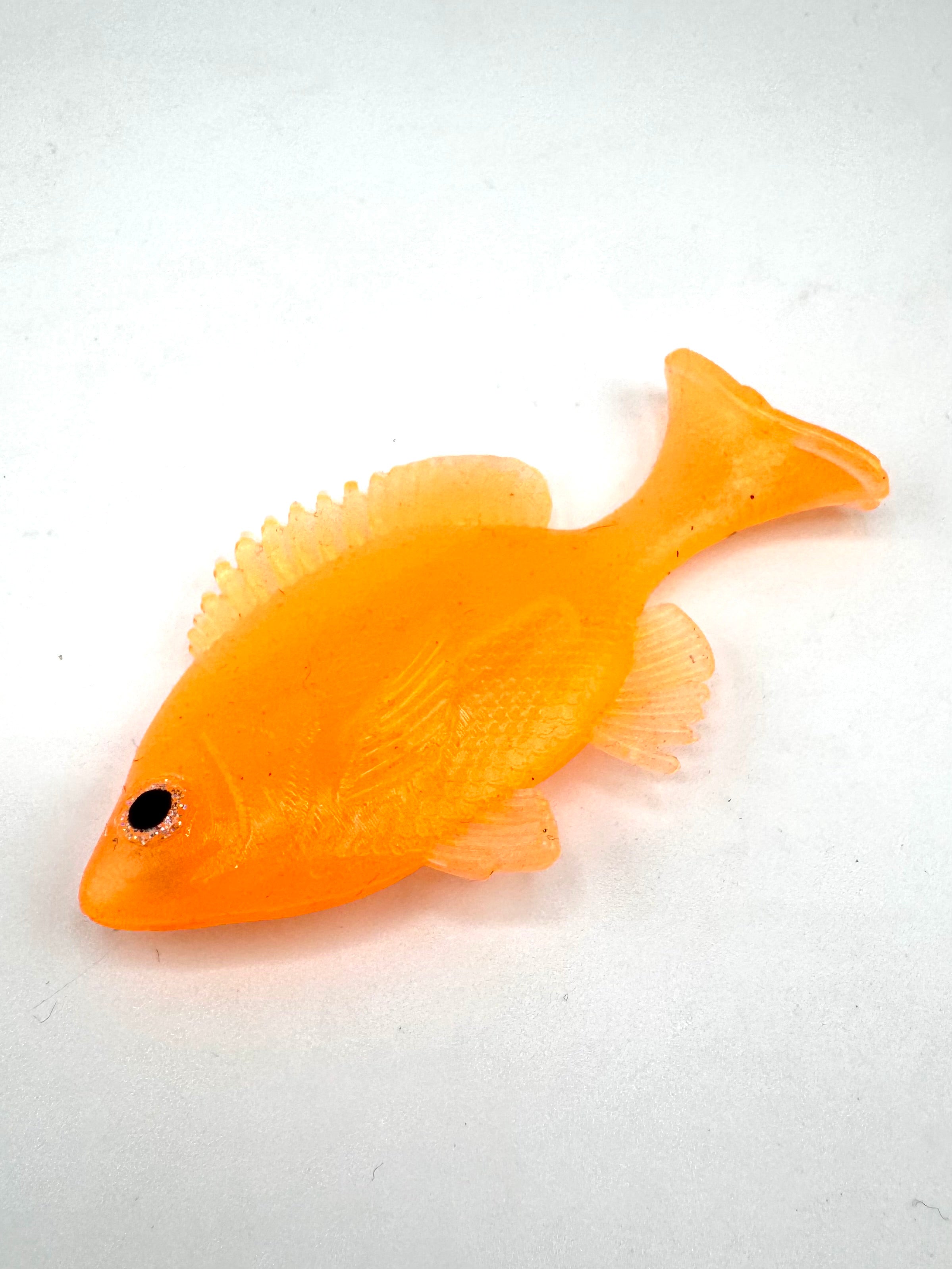 2 pack Gill - Garibaldi